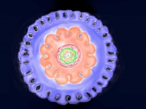 Planeetbanen geocentrisch naamloos